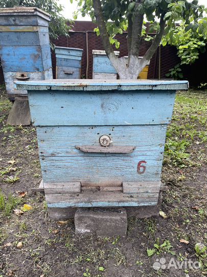 Ульи для пчел с рамками