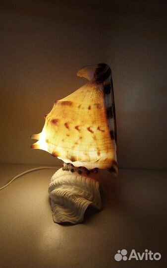 Светильник Касис 27,8 *21,3 морской сувенир