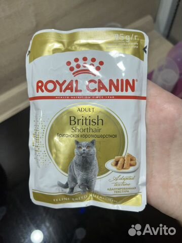 Корм влажный royal canin дли британских кошек
