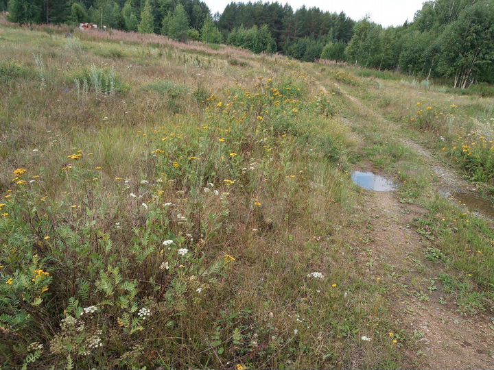 Участок 5,01 га (СНТ, ДНП)