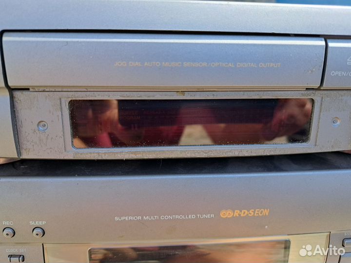 Sony ex100