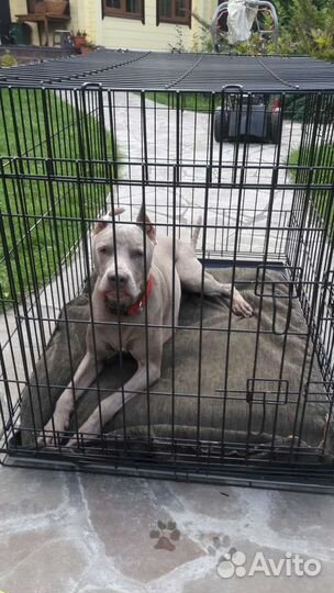 Клетка для большой собаки