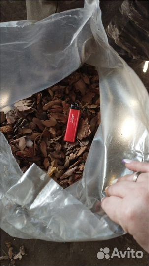 Сосновая кора