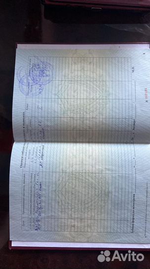 Русская гончая