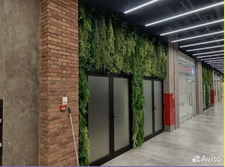 Природный дизайн: фитокартина Арт: 214851