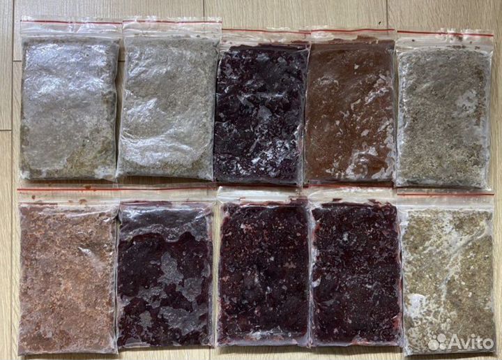 Живой корм для рыб (мороженный)