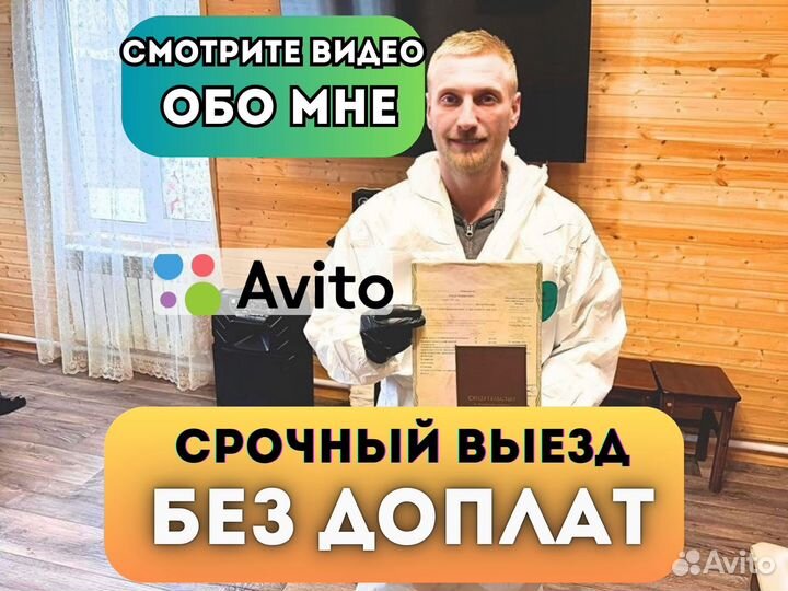 Дезинсекция. Уничтожение тараканов, блох, плесени