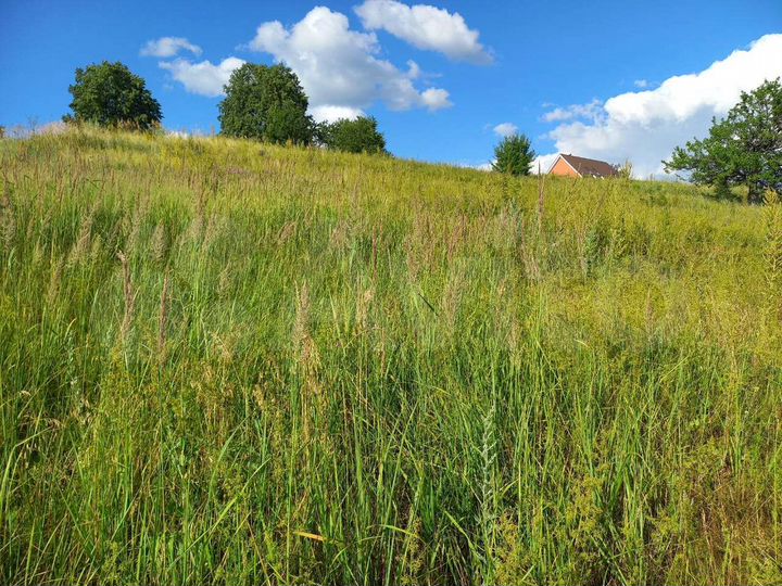 Участок 12 сот. (ИЖС)