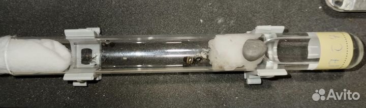 Продаются колонии муравьëв Лазиус нигер