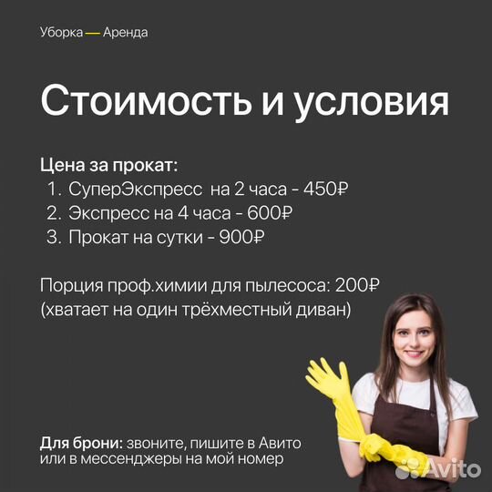 Моющий пылесос в аренду