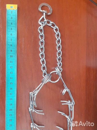 Ошейник строгий