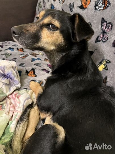 Найдись поскорее единственный друг