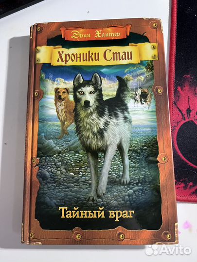 Хроники стаи пустой город