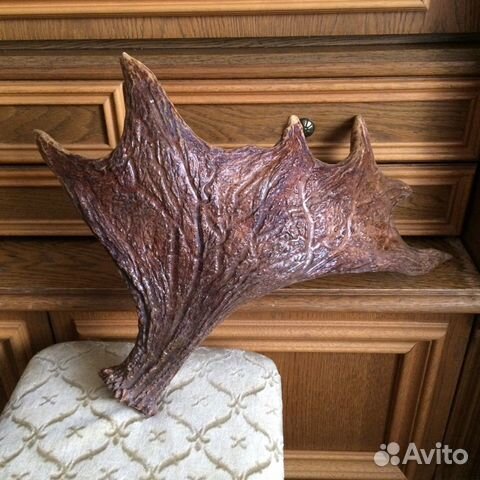 Без торга И без обмена рог лося