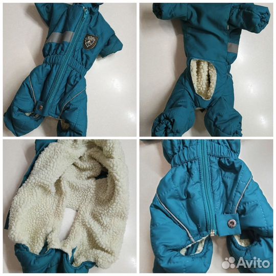 Одежда для маленьких собак