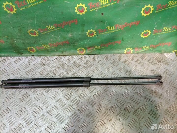 Амортизаторы багажника Renault Kangoo каблук 1.4