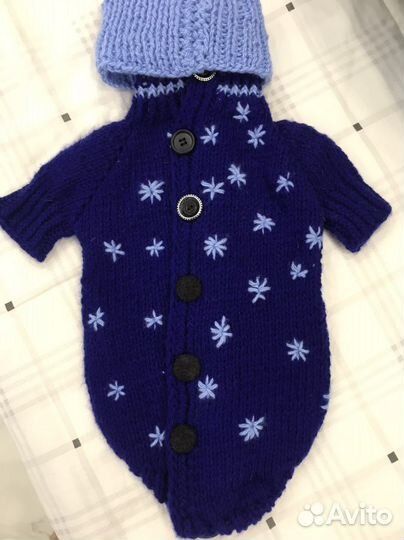 Одежда для собак