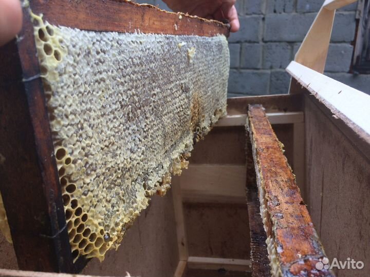 Натуральный мёд