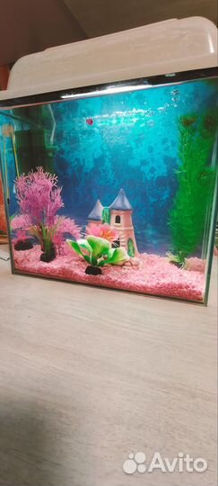 Аквариум 20 литров