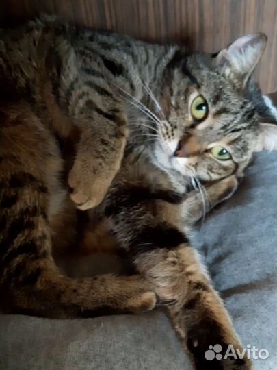 Европейская