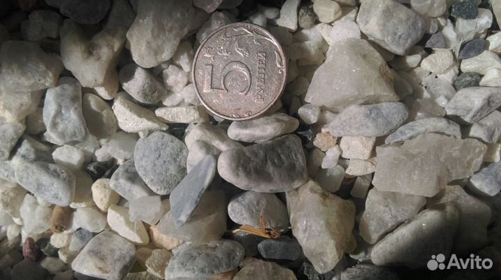 Аквариумы. Фильтры. Грунты. Декорации. 