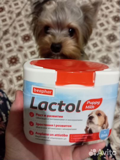 Корм для щенков