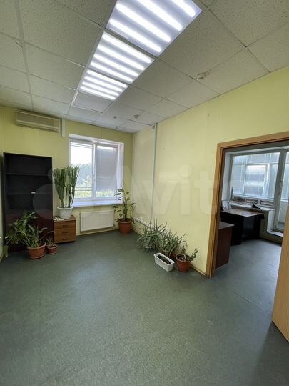 Офис, 55 м²