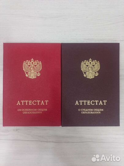 Репетитор по математике/информатике