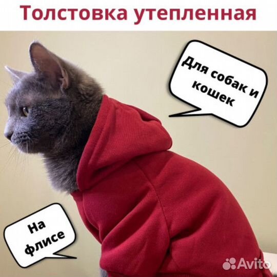 Худи для собак и кошек