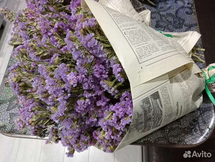 Сухоцвет статица