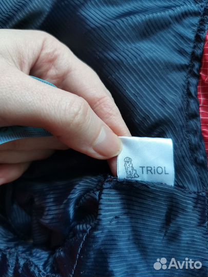 Костюм для маленькой собачки