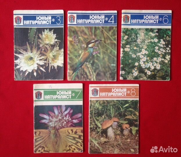 Журнал юный Натуралист