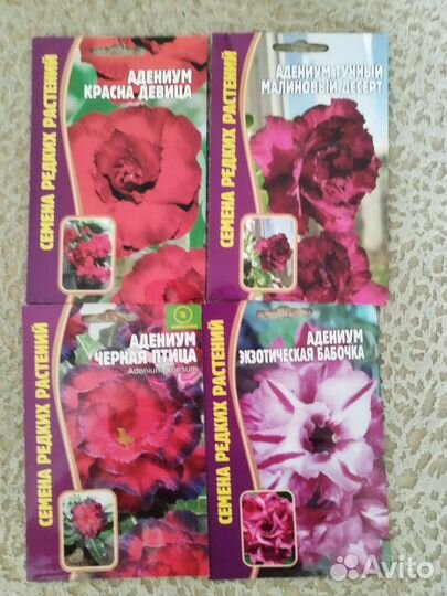 Семена адениума