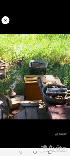 Улъя, рамки, магазины. Воск