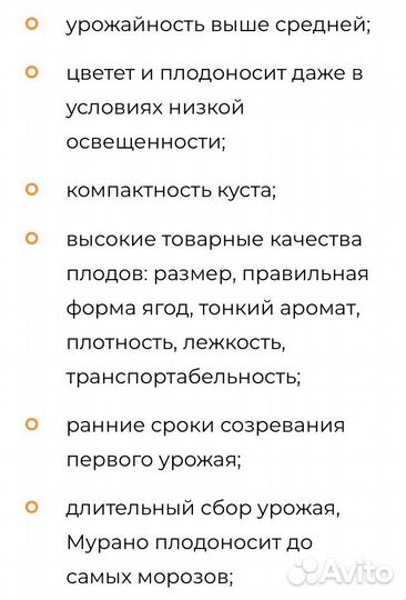 Клубника Мурано