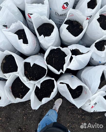 Перегной навоз