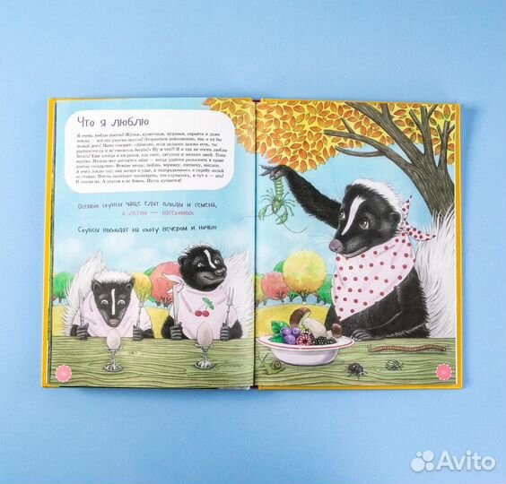 Я скунс Устинова Татьяна Витальевна