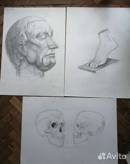 Академический рисунок А2. Гипсовая голова, натура