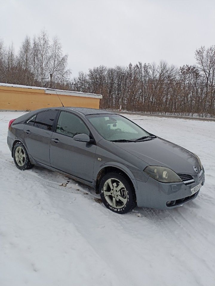 Nissan Primera: фото владельца