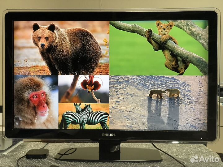 Телевизор philips 42