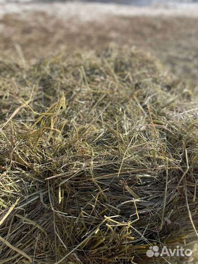 Сено и Стружка в тюках