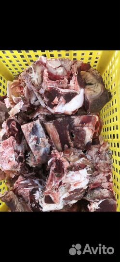 Косточки, обрезь для животных