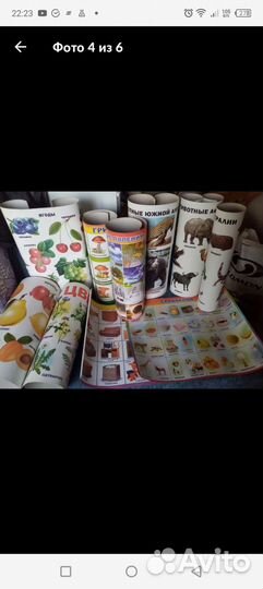 Обучающие плакаты и растомеры