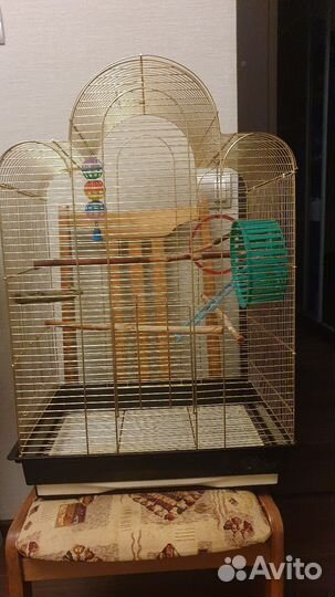 Клетка для попугая бу