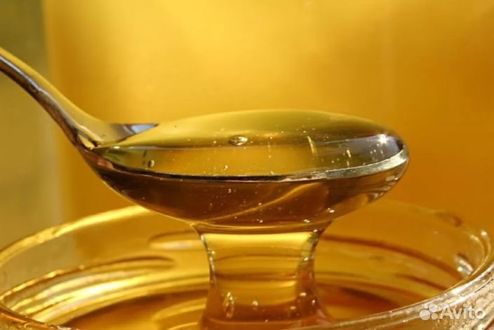 2023 года Мёд Алтайский опт