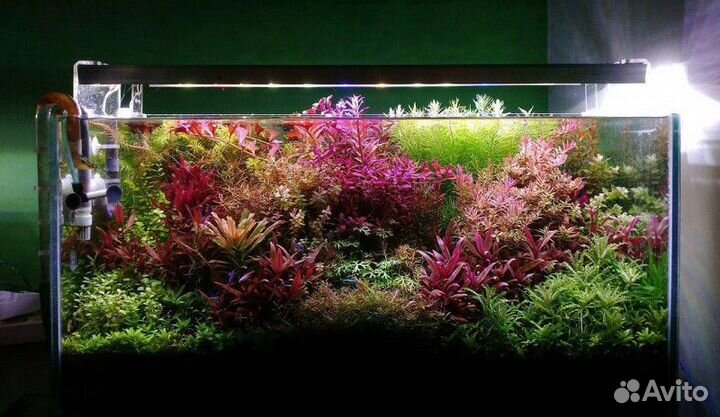 Оформление аквариума, акваскейп