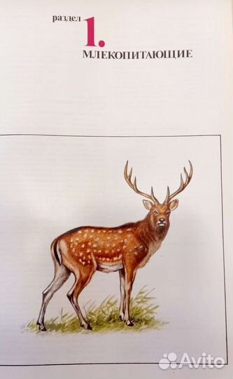 Познавательные книги, в том числе и для детей