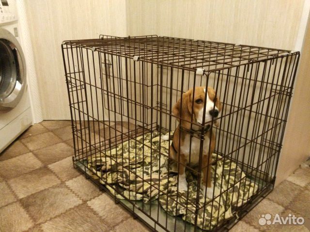 Клетка для собак (прочная/металлическая) вольеры