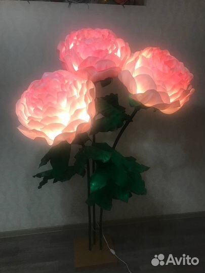 Ростовые цветы