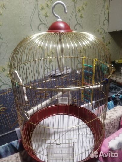 Клетка для попугая